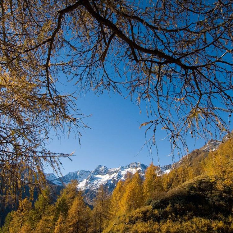 Herbst Passeier